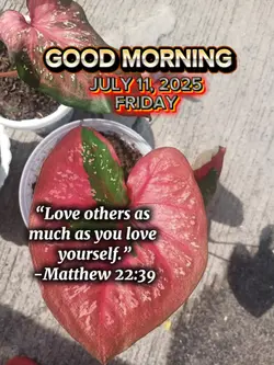 Love others