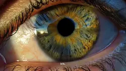 IRIS EYE ZOOM TREND