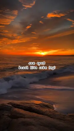 son apa2