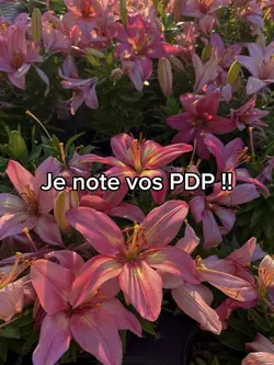 Je note vos pdp !!