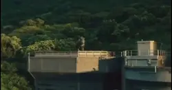 dinosaur  