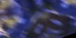can5 lq highlights 