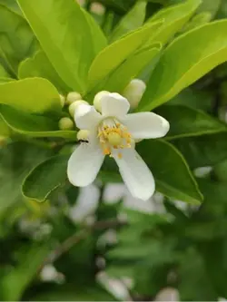 কেউ না জানোক🙂🦋🖇