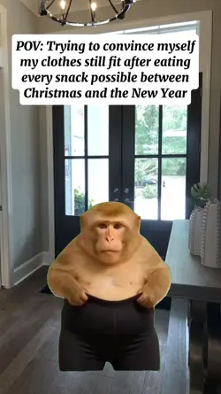 chubby monkey meme