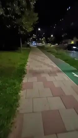 Trădare 