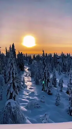 mountains 