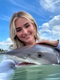 Pet shark
