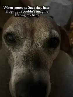 I love my baby