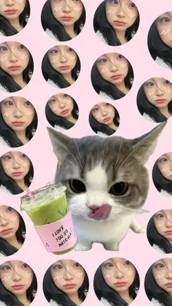 wallpaper lucu