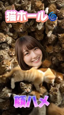 世紀の大発見！猫ホール🌀️