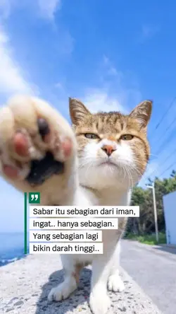 sabar itu sebagian