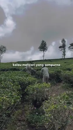 saling melengkapi