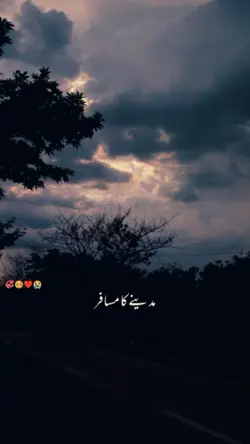 Musafir e Madina