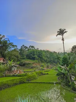 foto pemandangan