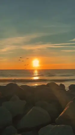 SlowMo Sunset 1Vidio