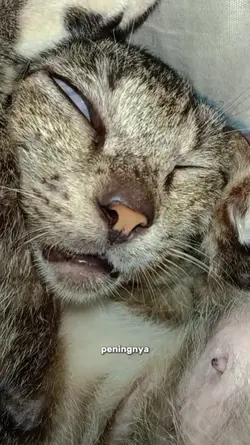 Ya Allah peningnyaaa