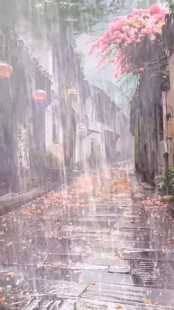 In the rain