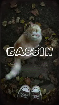 GASSIN 