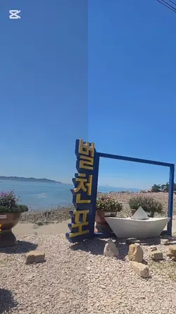 벌철포