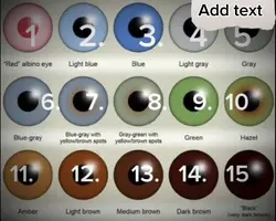 Eye colour 