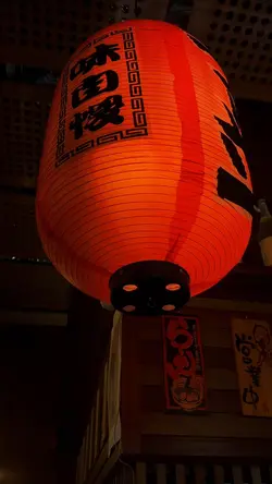 cinematic japanese 