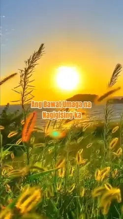Bawat Umaga 