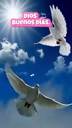 Oración De La Mañana