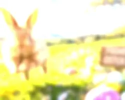 Frohe ostern