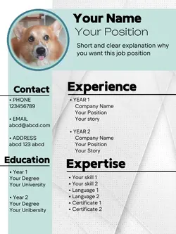 Elevate your CV