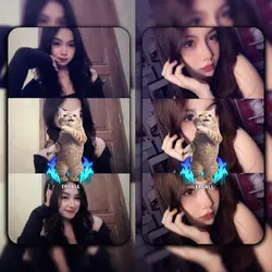 Versi Kucing 