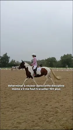 dressage cheval