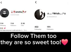 Follow them :D