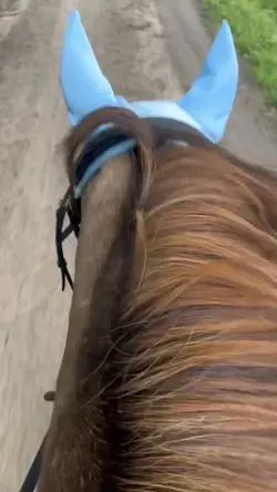 Smooth Slow-Motion 