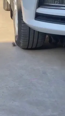funy video
