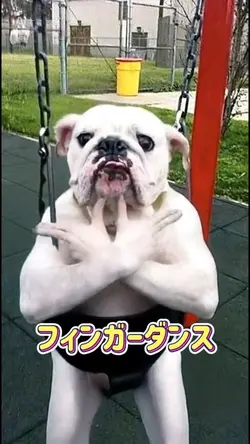 フィンガーダンス