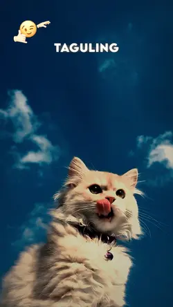 lirik estetik