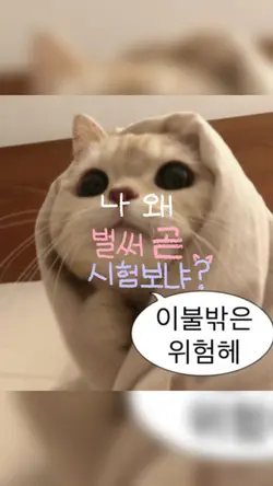 나 왜 곧 시험보냐. 중2의 삶이란.