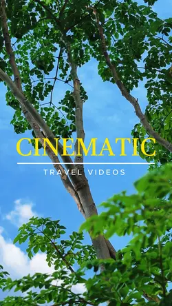 Travel recap