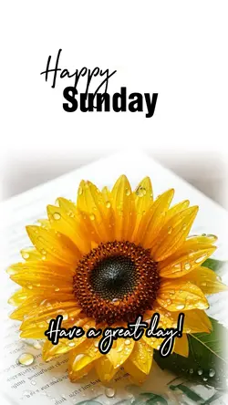 Happy Sunday 