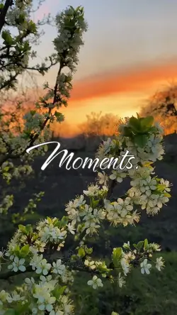 Moments