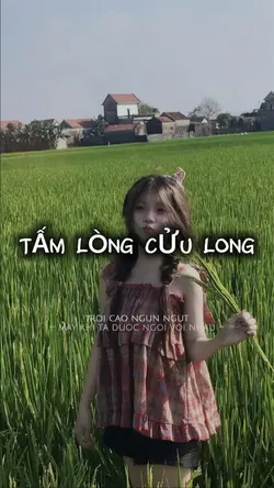 Tấm lòng cửu long
