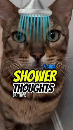 Shower thoughts 🚿😺😼