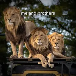 me and brothers