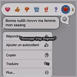 Je vous aiment 