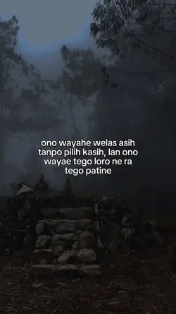 STORY