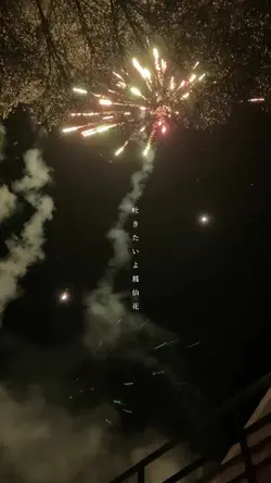 📸22枚です.