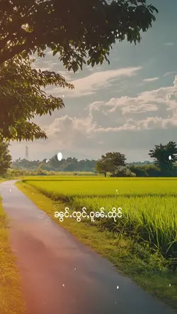 သႂ်ႇၶႅပ်းႁၢင်ႈသူ 1