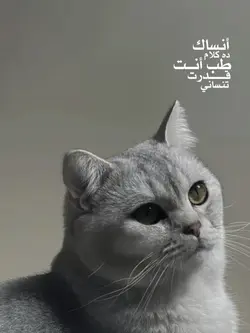 Arabic song 