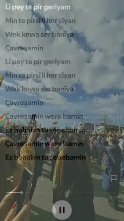 Çavreşamin