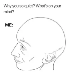 memes